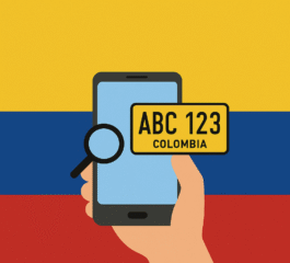 Aplicativo para Consultar Placa na Colômbia